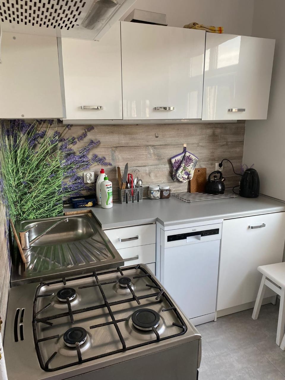 Kitchen or kitchenette, dishwasher, oven, stove