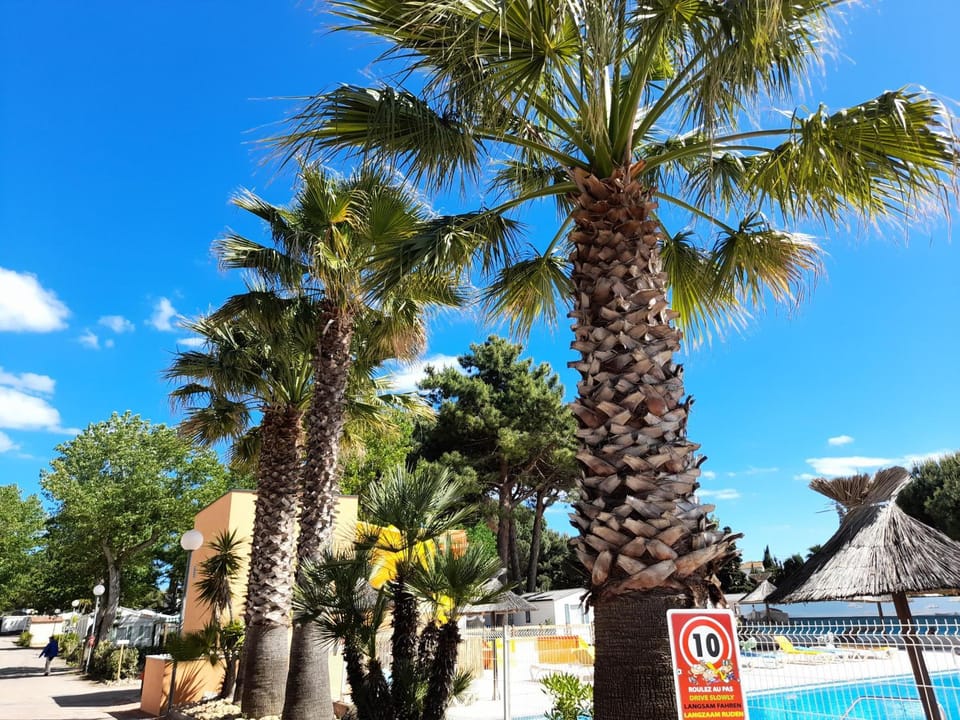 Camping maeva Escapades Les Jardins d'Agathe Campground/ 
RV Resort in Agde