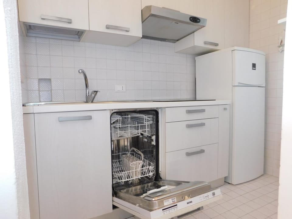 Kitchen or kitchenette, dishwasher