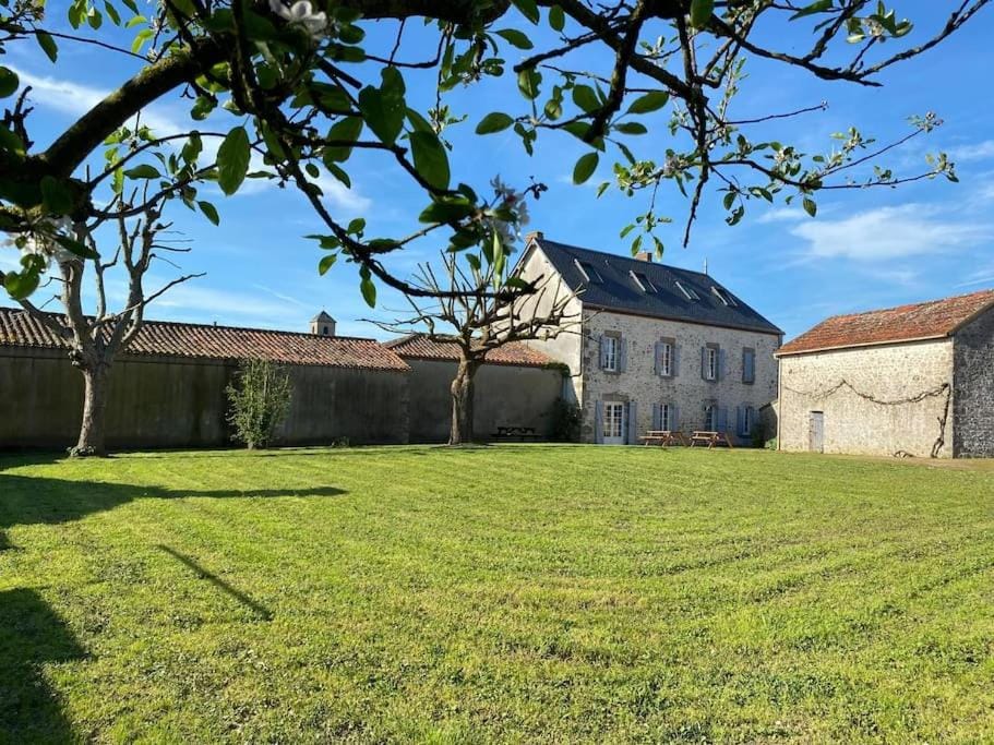 Property building, Garden view