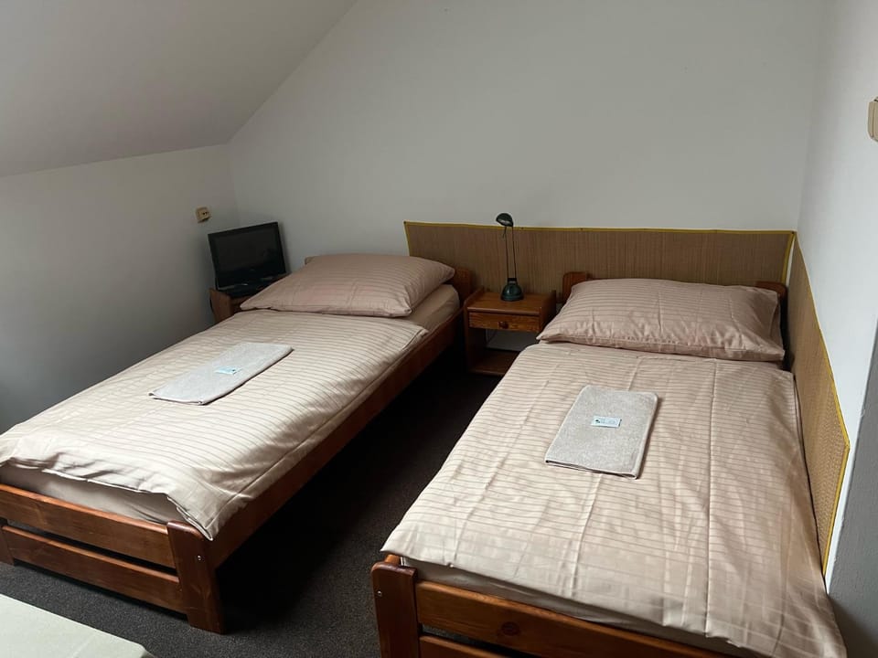 PENZION HRADEC Bed and Breakfast in Czechia