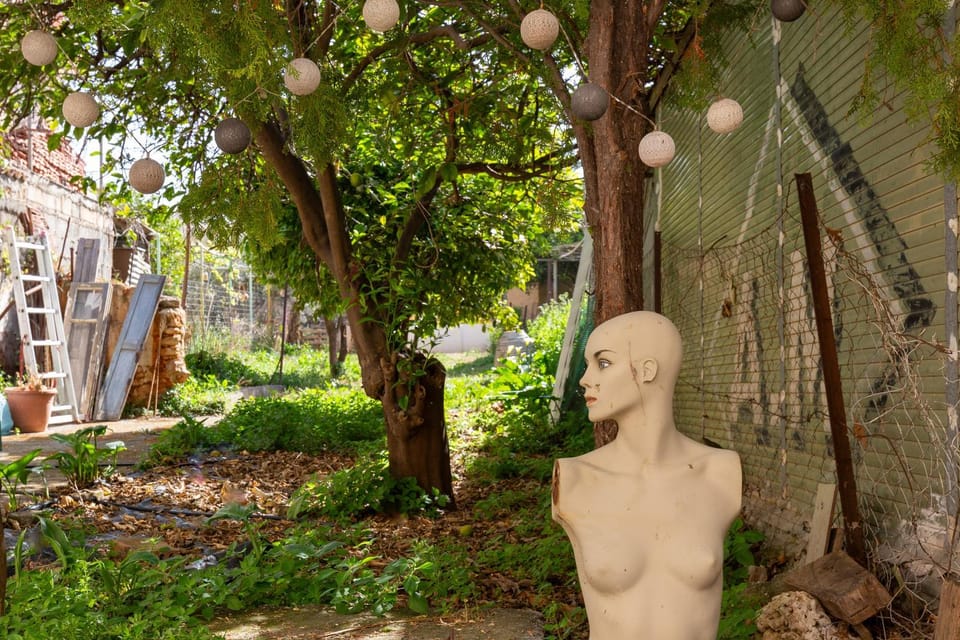 Garden view