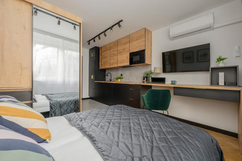 Bed, TV and multimedia, Kitchen or kitchenette, Living room, Photo of the whole room, Bedroom, hair dresser, minibar, air conditioner