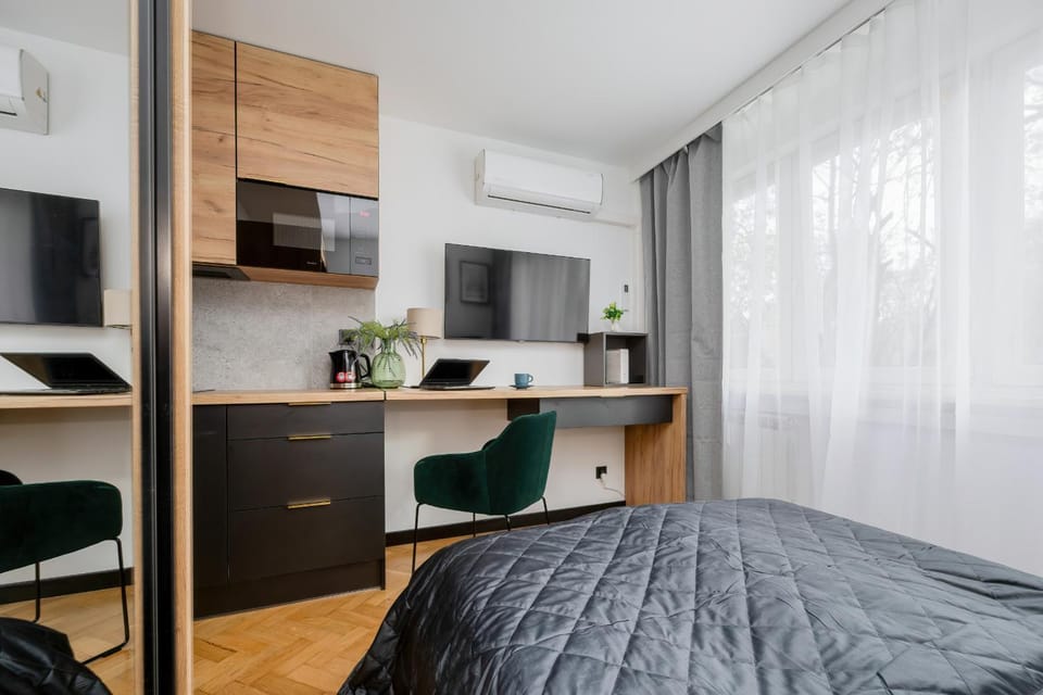 Bed, TV and multimedia, Kitchen or kitchenette, Living room, Photo of the whole room, Seating area, Bedroom, hair dresser, minibar, air conditioner