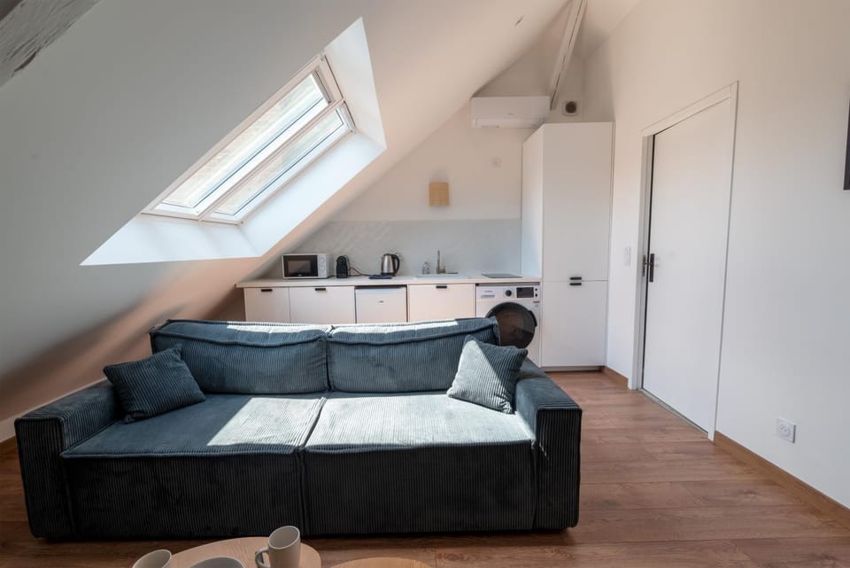 Reims Hyper Centre Cathédrale Apartment in Reims