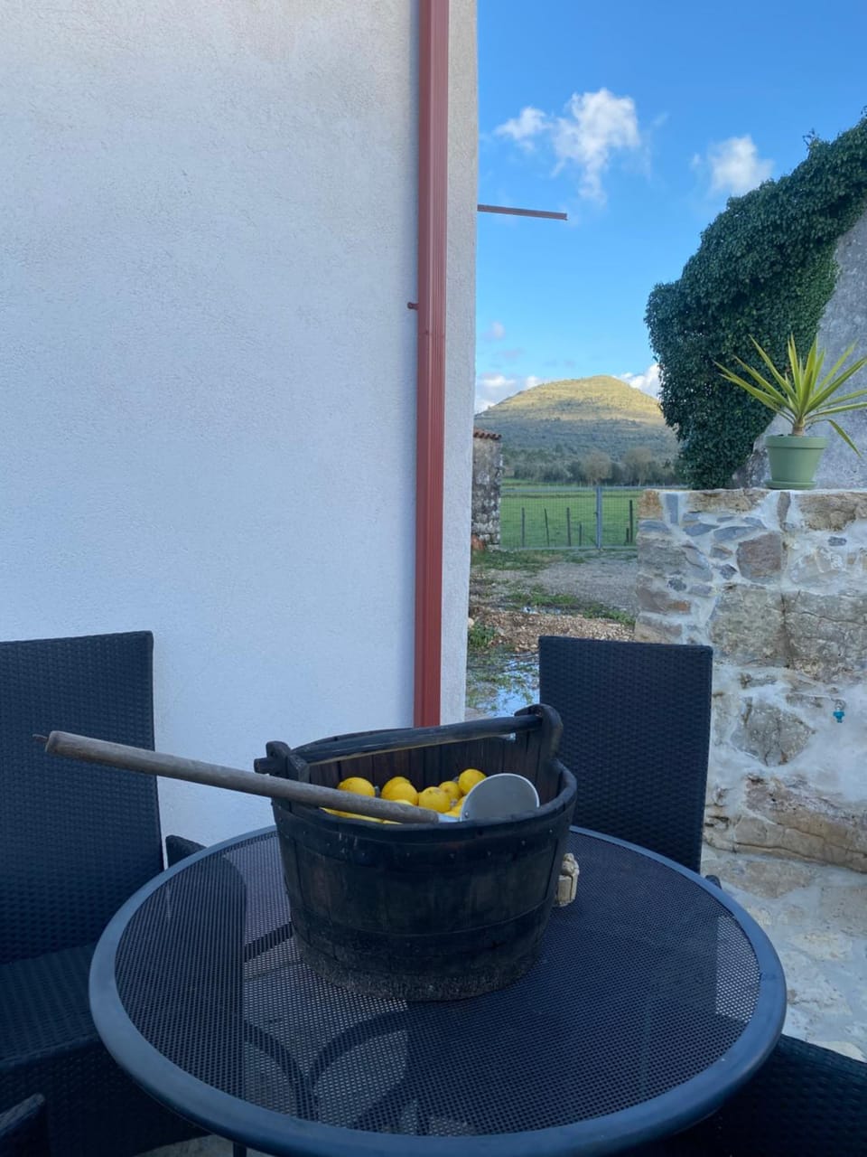 Casa da Lima Rabacal - Rest, Reflect, Reconnect in Nature Bed and Breakfast in Coimbra District, Portugal