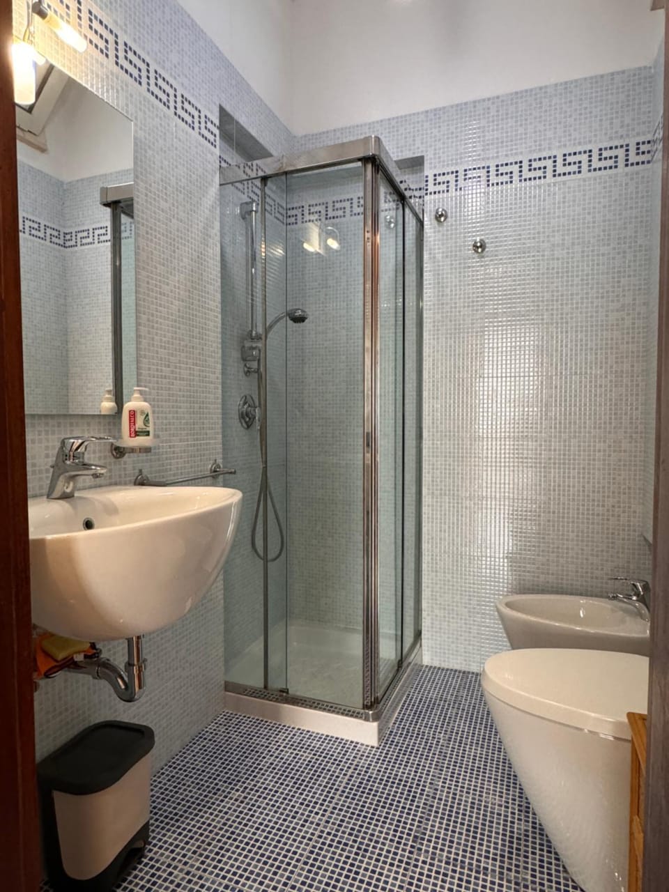 Shower, Toilet, Bathroom, bidet
