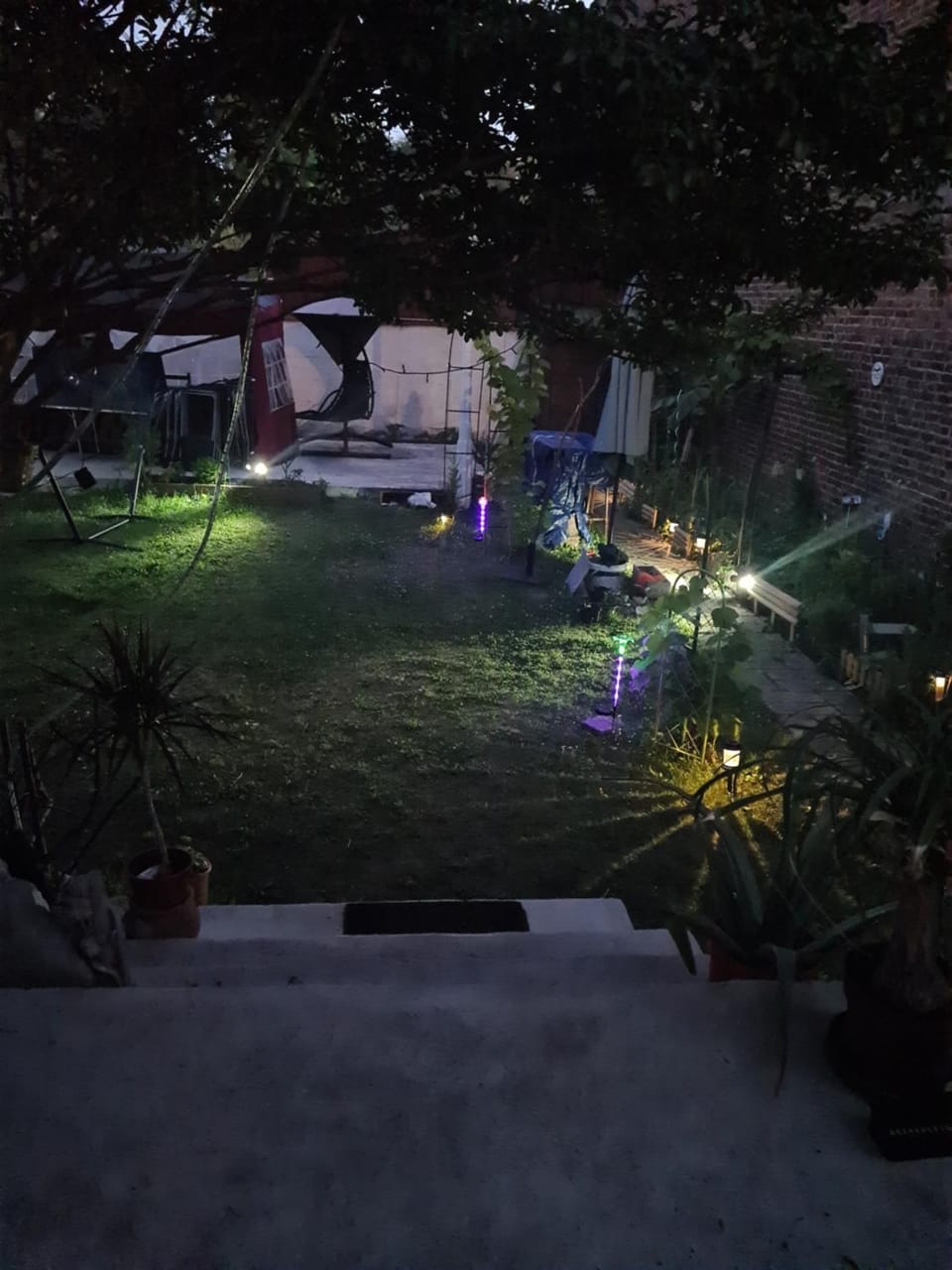 Night, Garden view