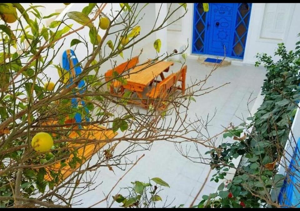 Garden, Garden, Garden view, hair dresser, acessibility