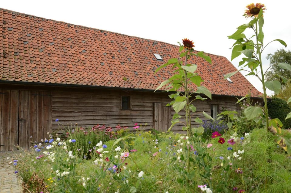 B&B De Hulst Bed and Breakfast in Flanders
