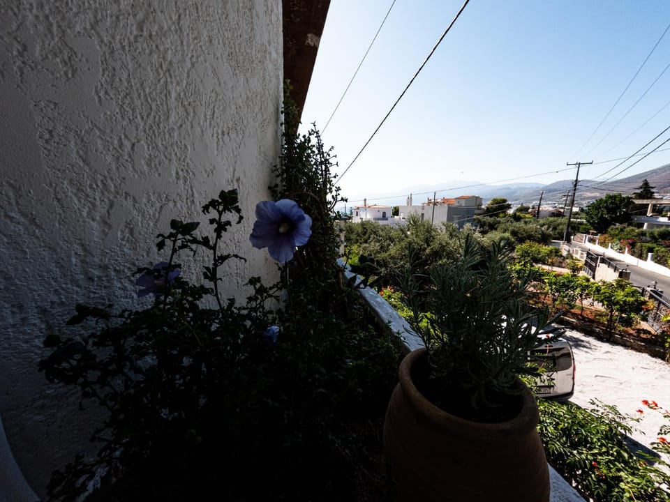 Garden view, Mountain view