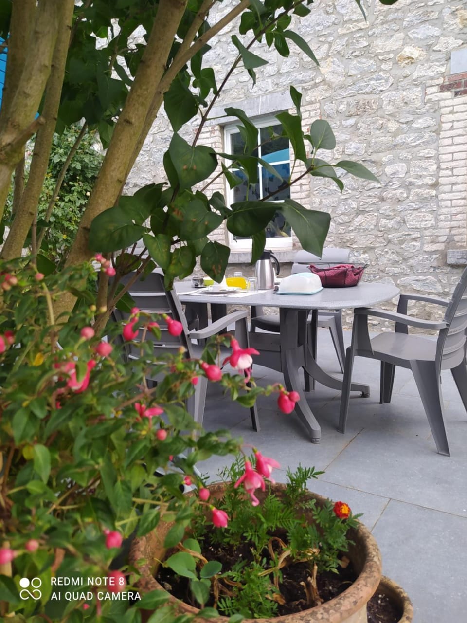 Patio, Spring