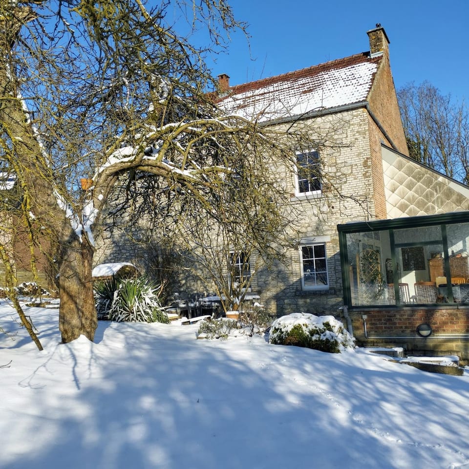 Property building, Winter