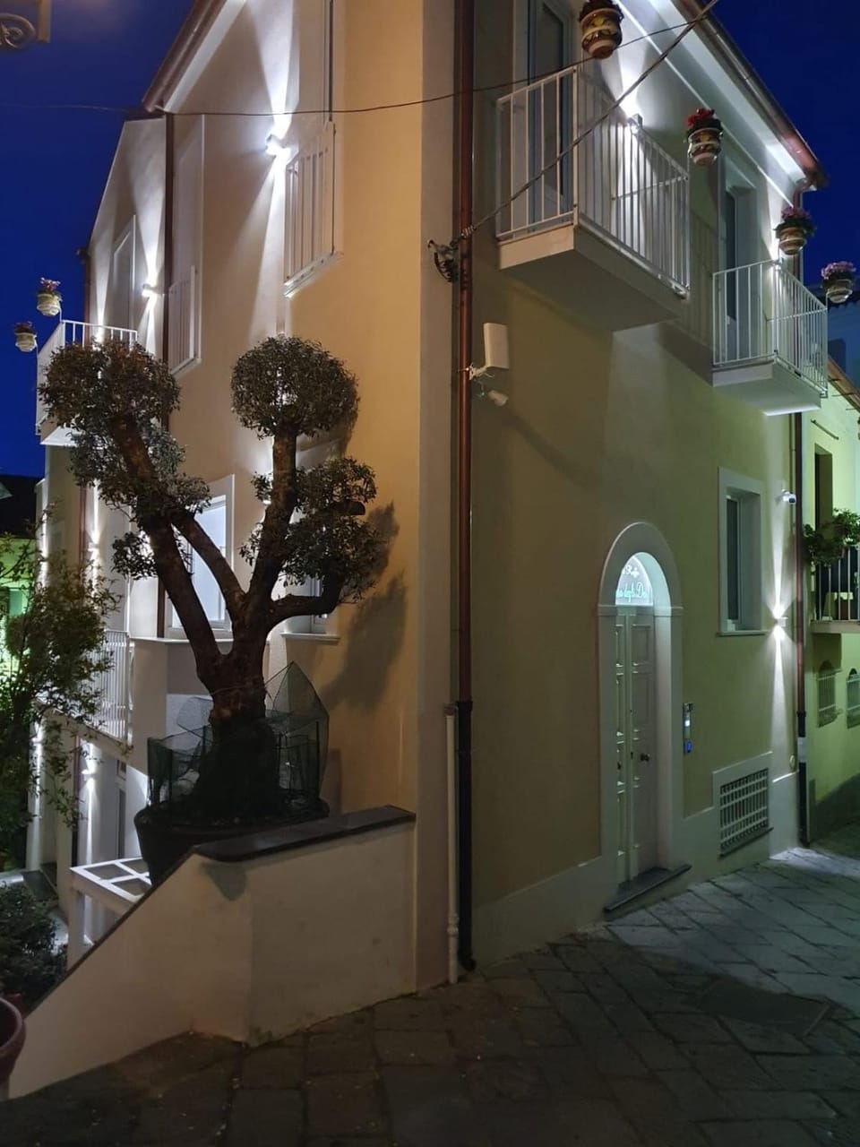 Property building