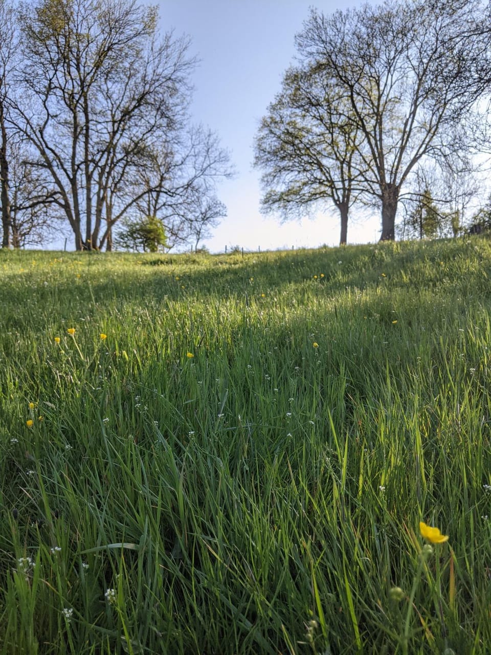 Natural landscape