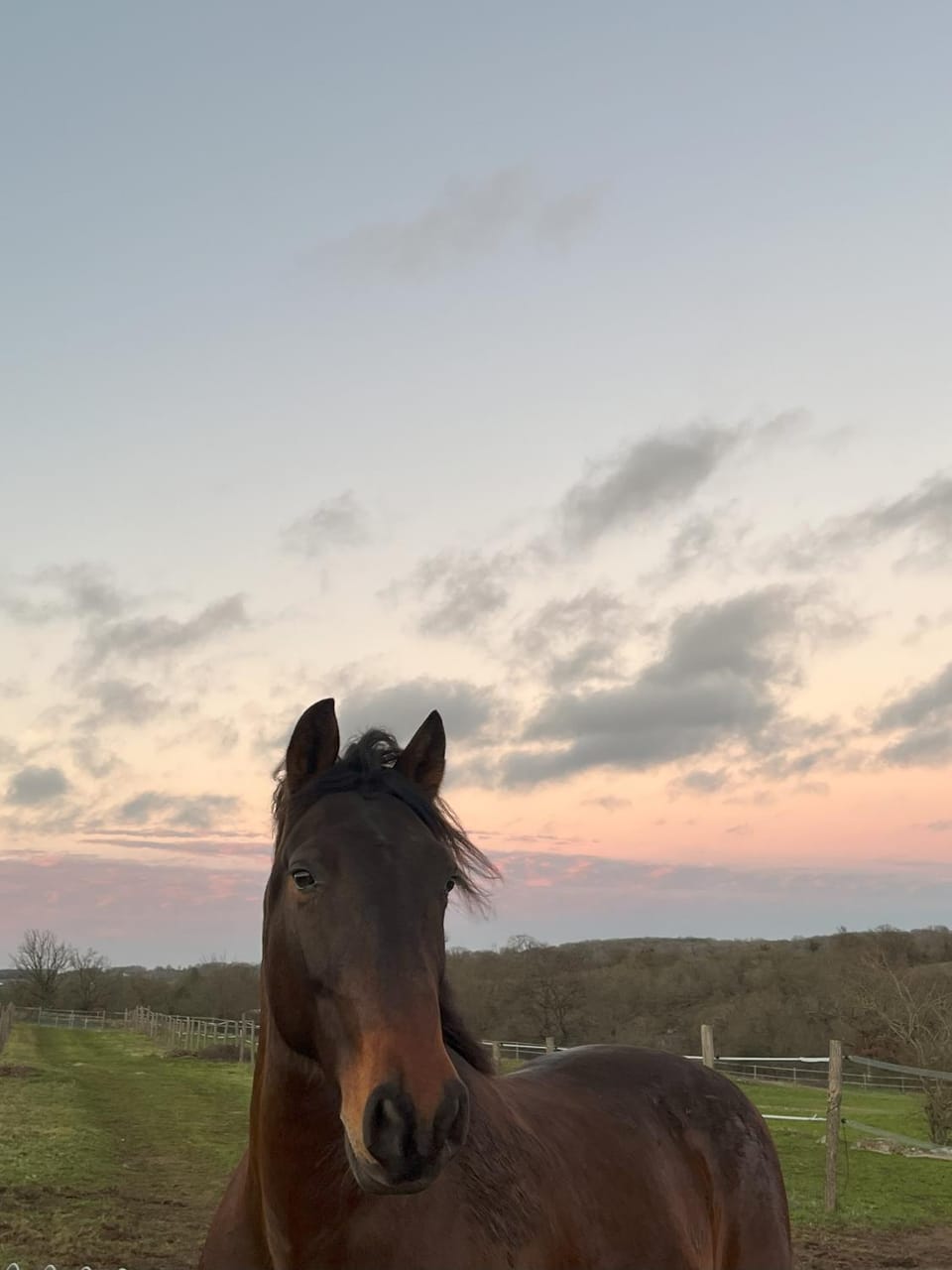 Horse-riding