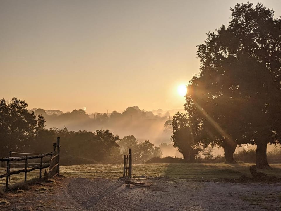 Sunrise