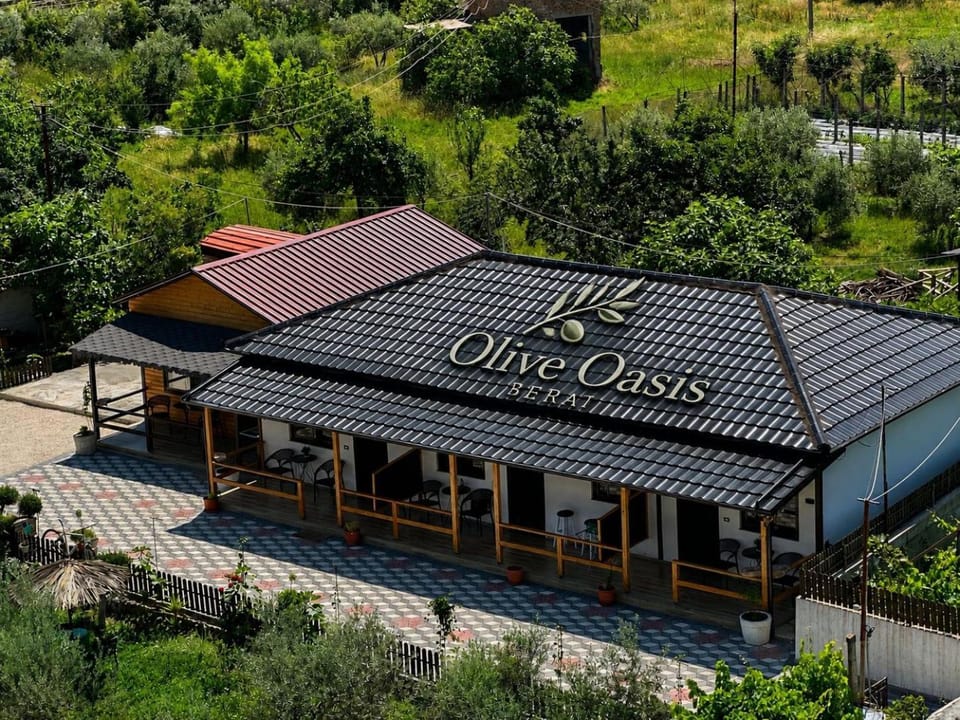 Olive Oasis Studio Apartment in Europe