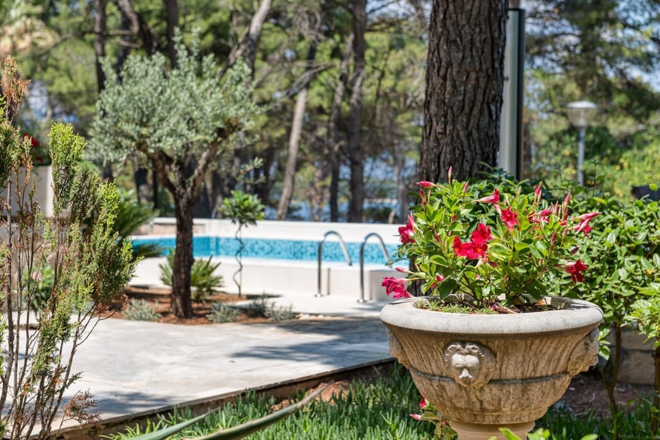 Natural landscape, Garden, Swimming pool