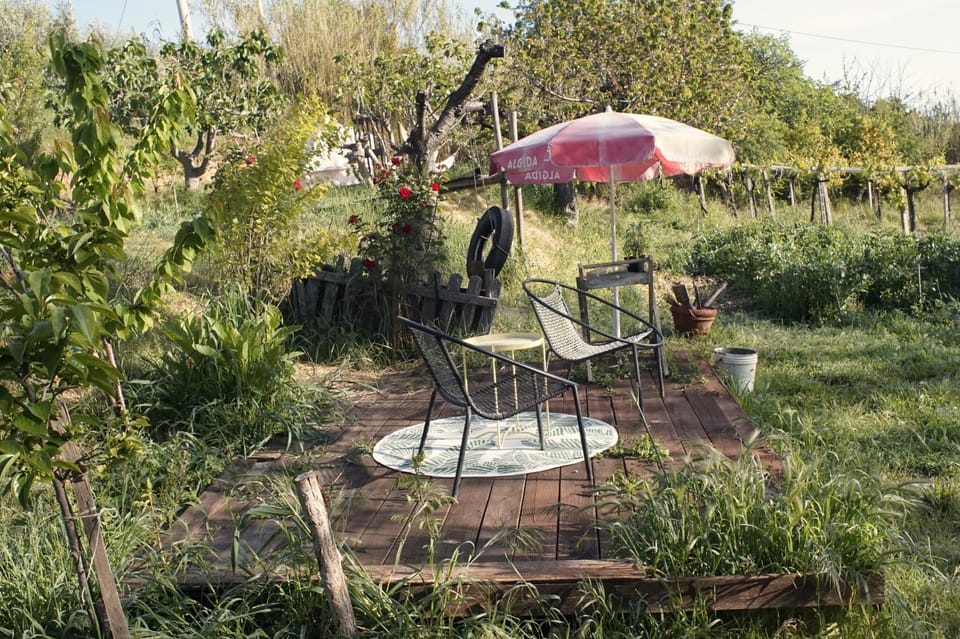 Spring, Garden view