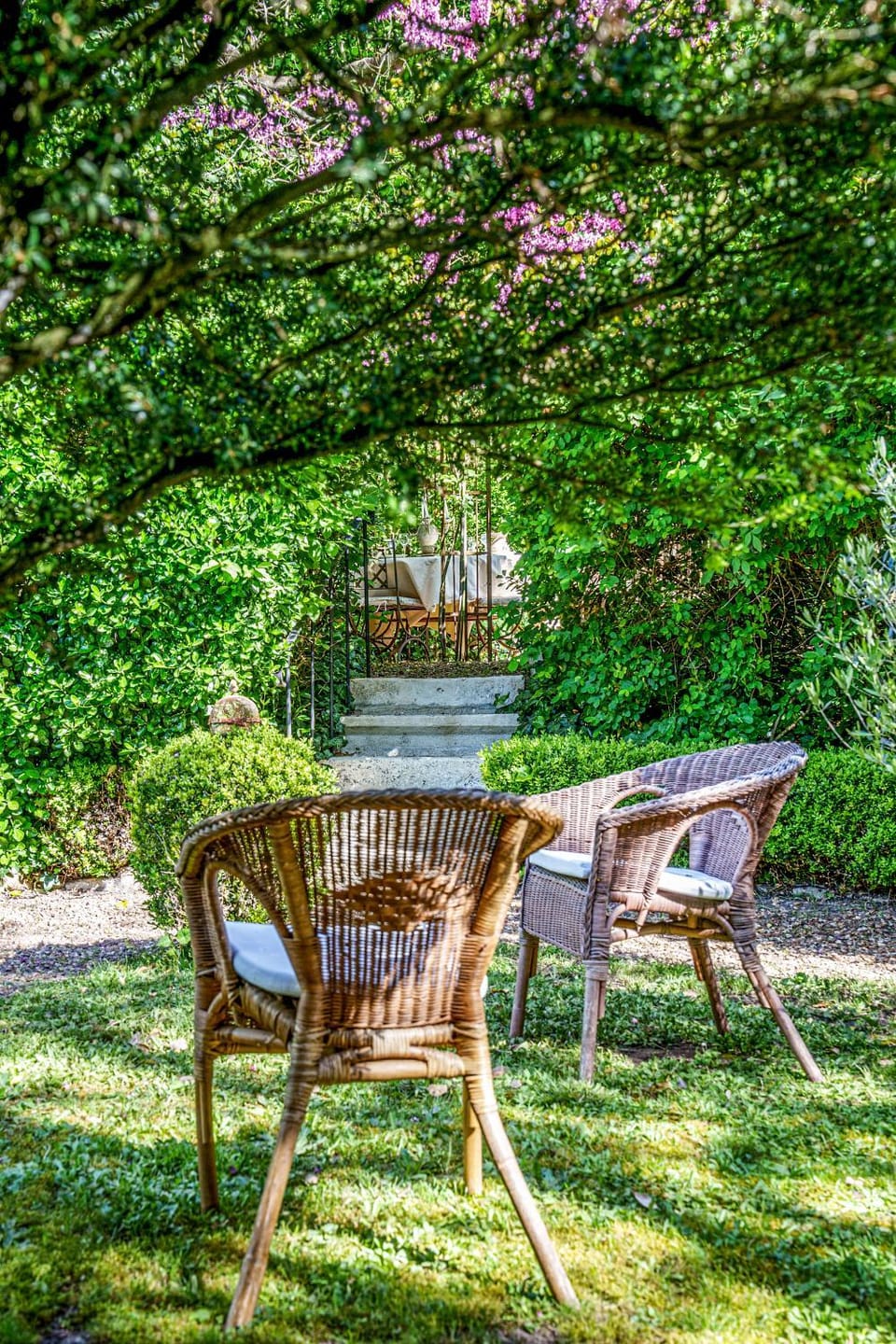 Spring, Day, Natural landscape, Garden, Garden view