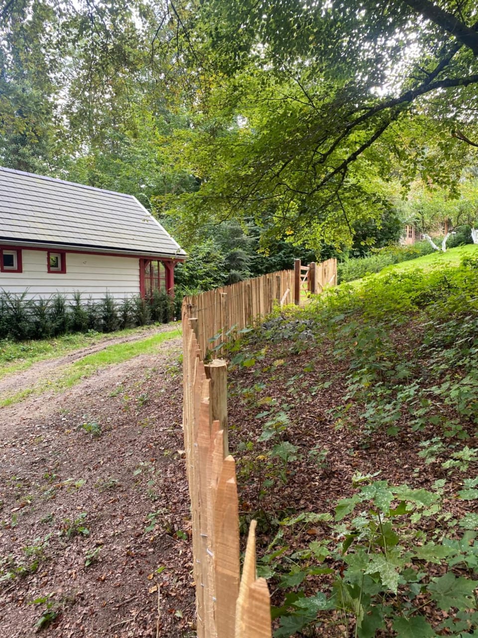 La Kabane des Hetres rouges Bed and Breakfast in Wallonia, Belgium