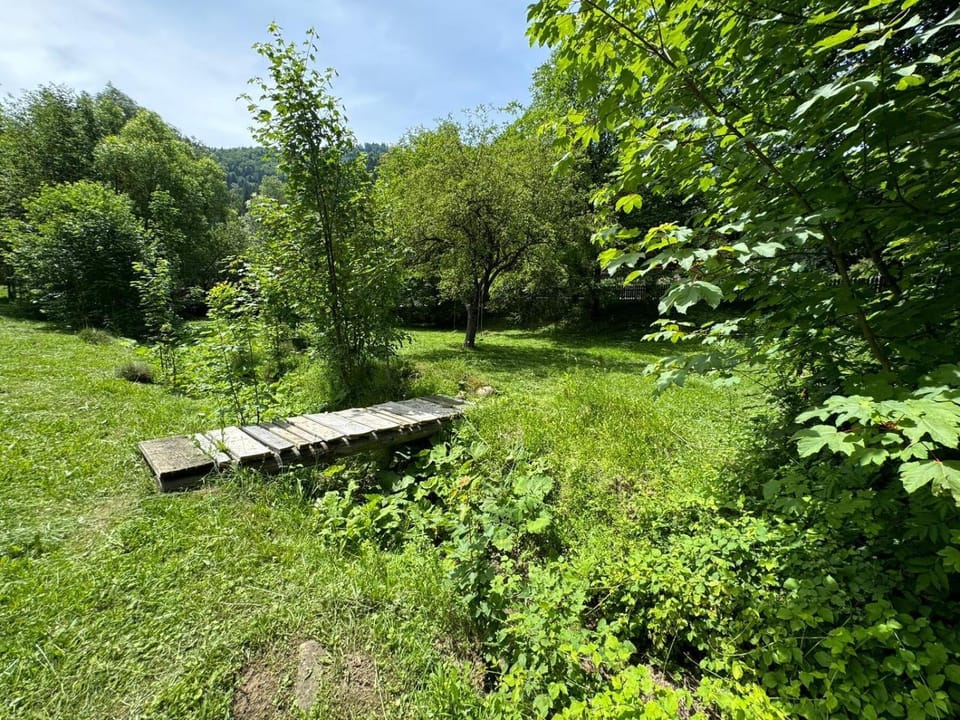 Tarcau Kub House in Romania
