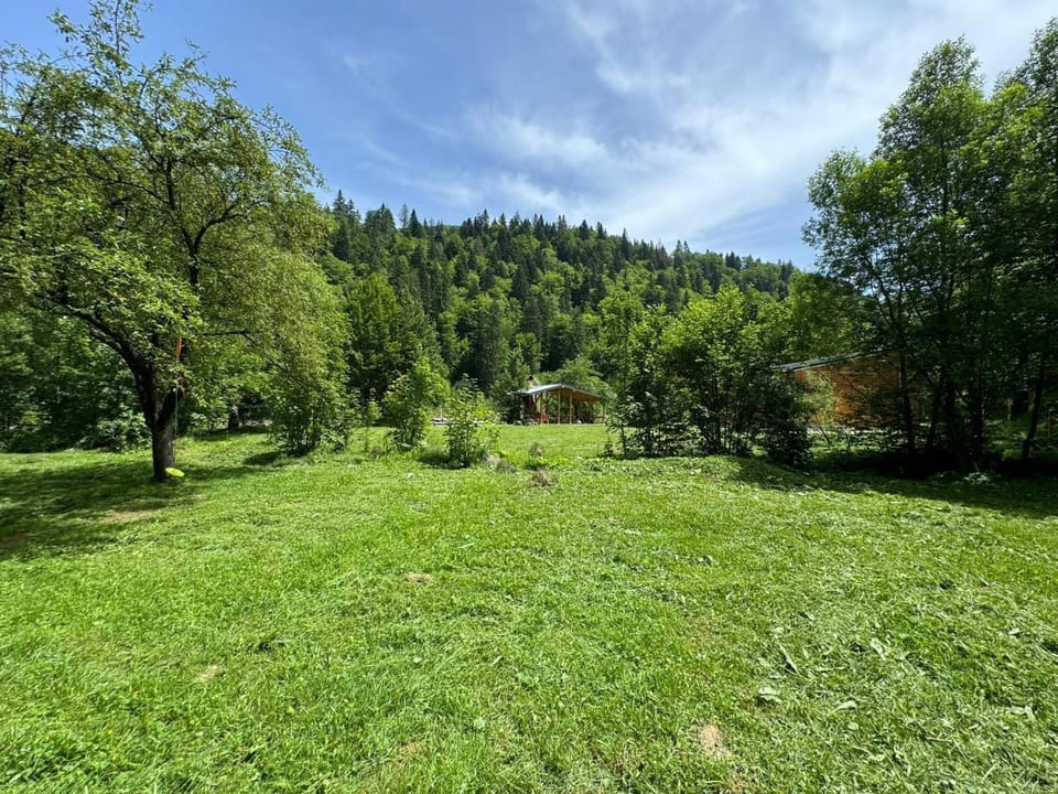 Tarcau Kub House in Romania