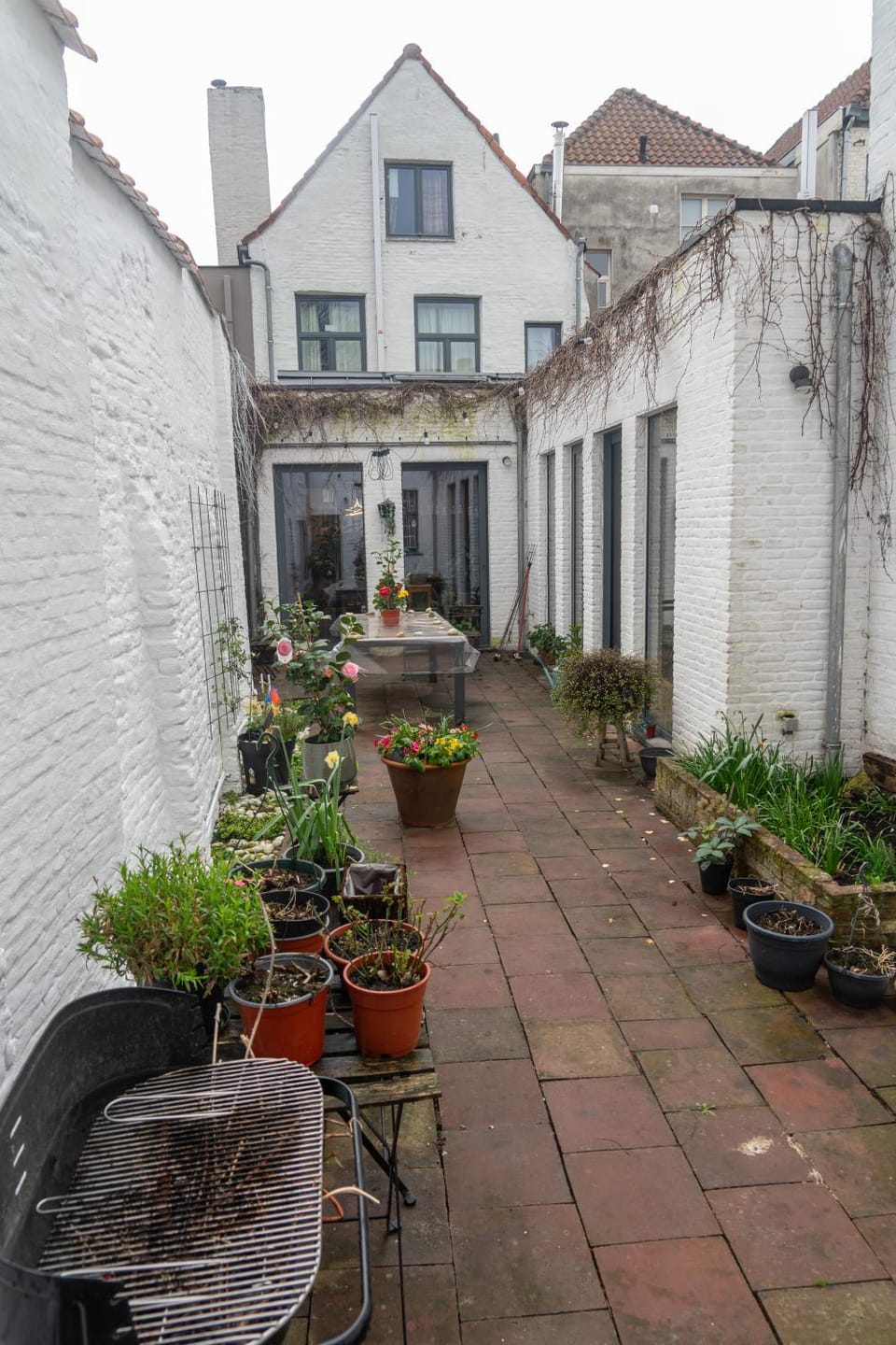 Patio, Day, Garden
