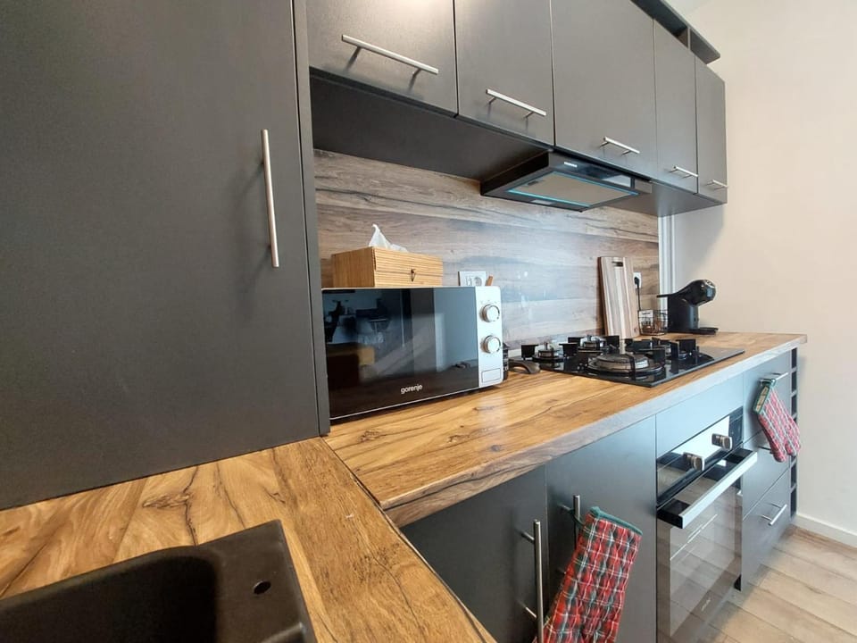 Kitchen or kitchenette, minibar, pet friendly, stove