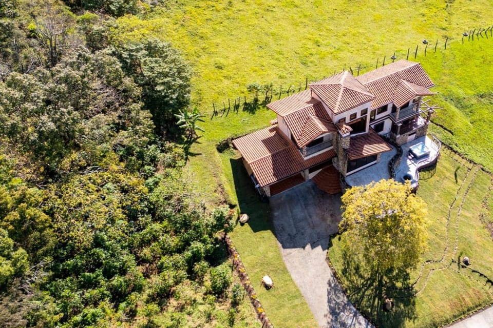 Property building, Bird's eye view, Garden, Garden view