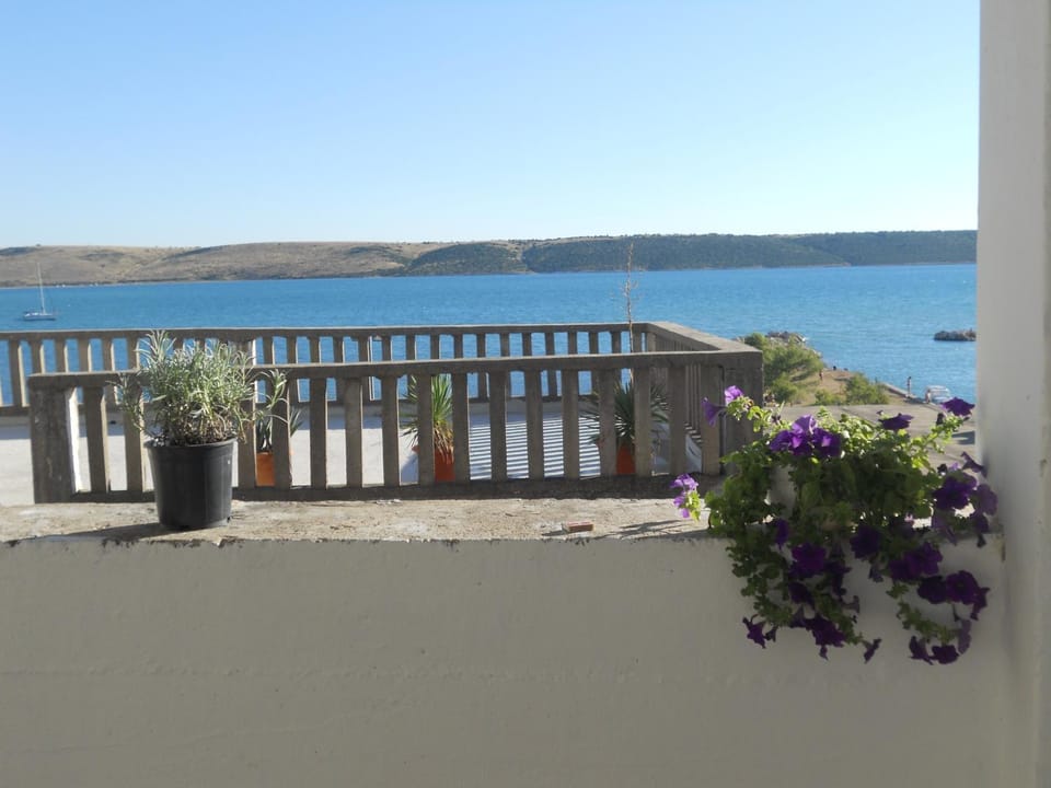 On site, Sea view