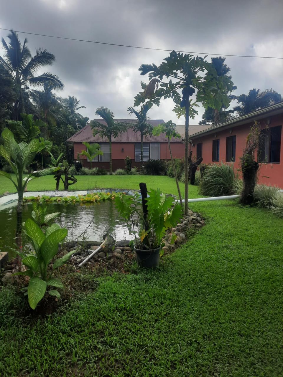 Garden, Garden