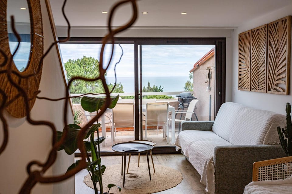 Superbe T3 vue sur mer parking privé classé 3 étoiles Apartment in Collioure
