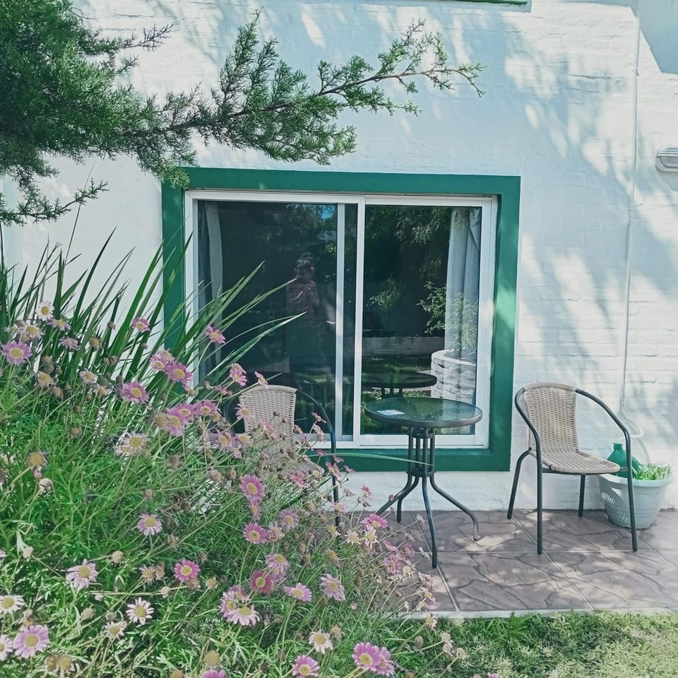 Patio, Garden, sunbed