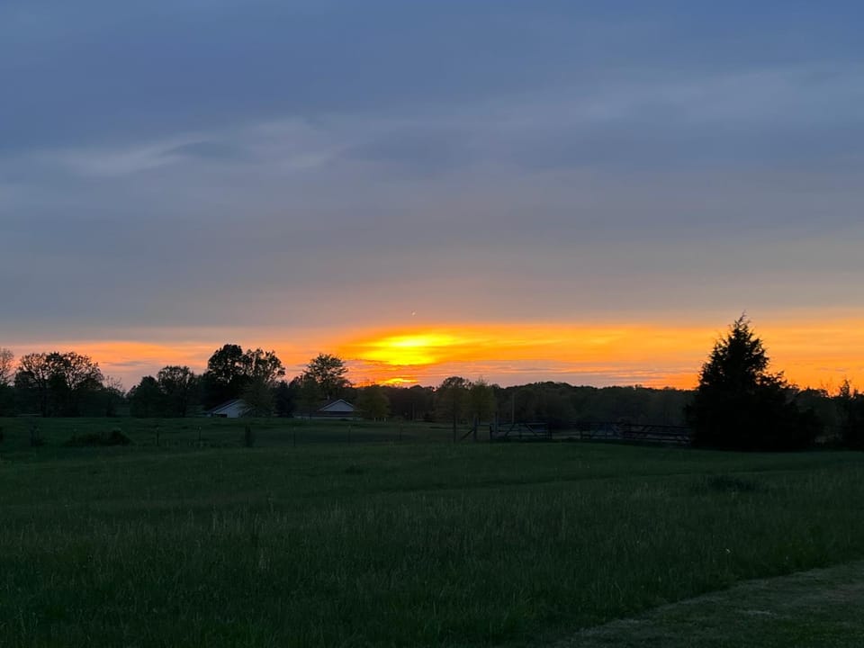 Natural landscape, View (from property/room)