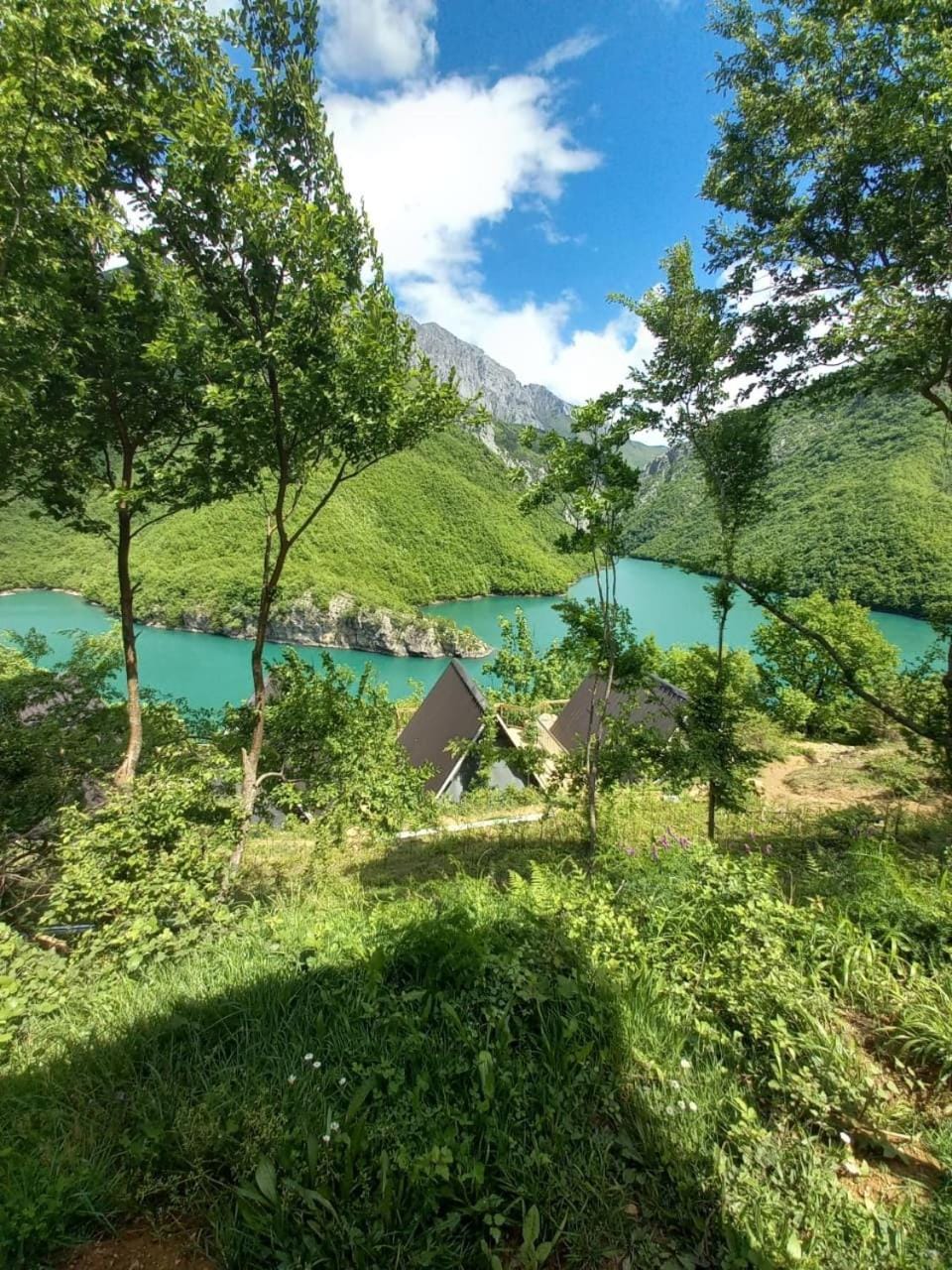 Property building, Natural landscape