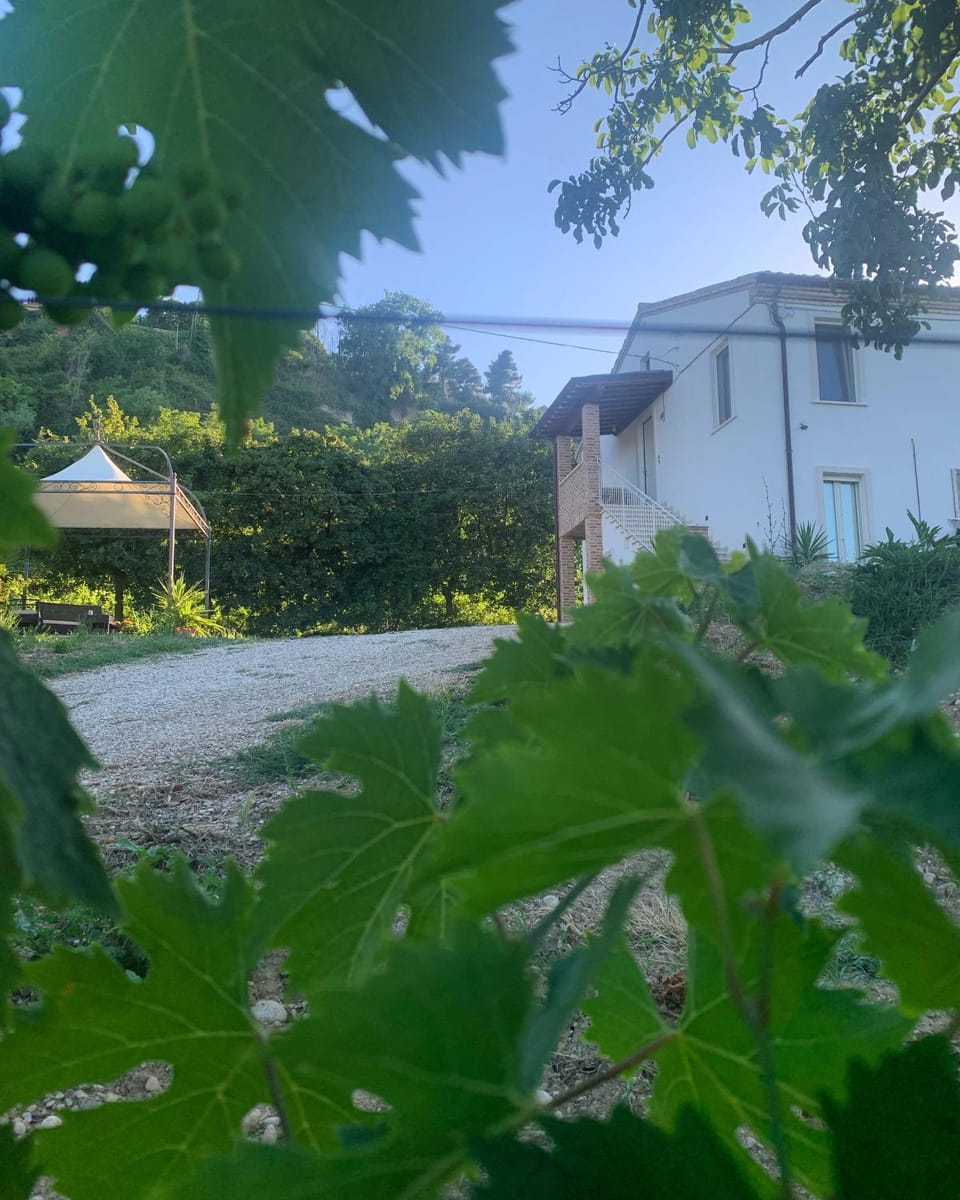 Tra borghi e mare - Ripatransone Apartment in Marche