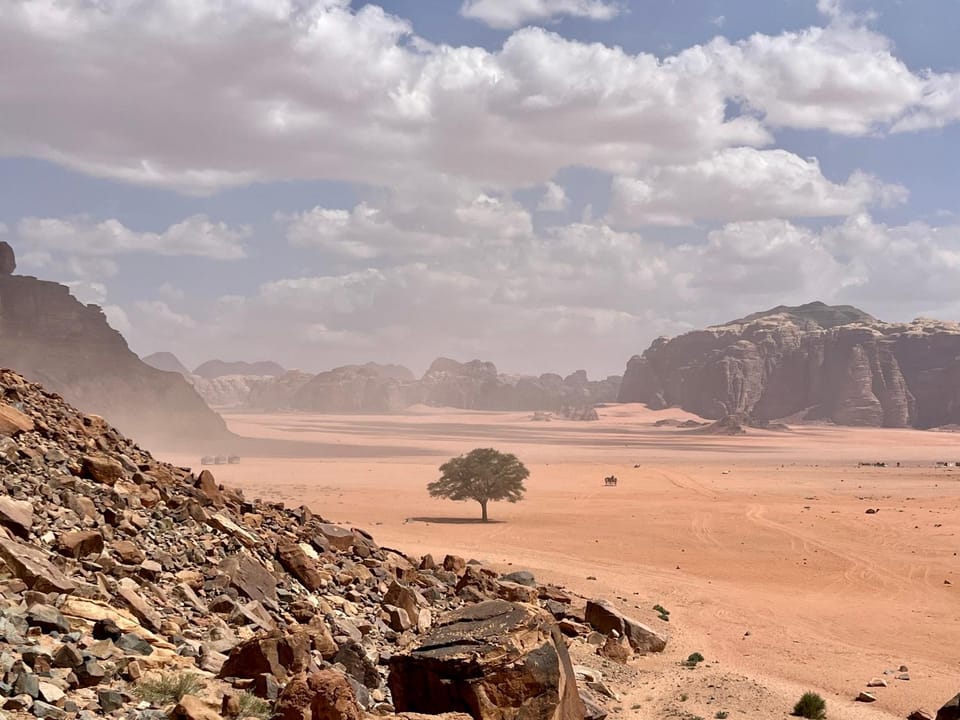 Wadi Rum Heaven Camp Hotel in South District