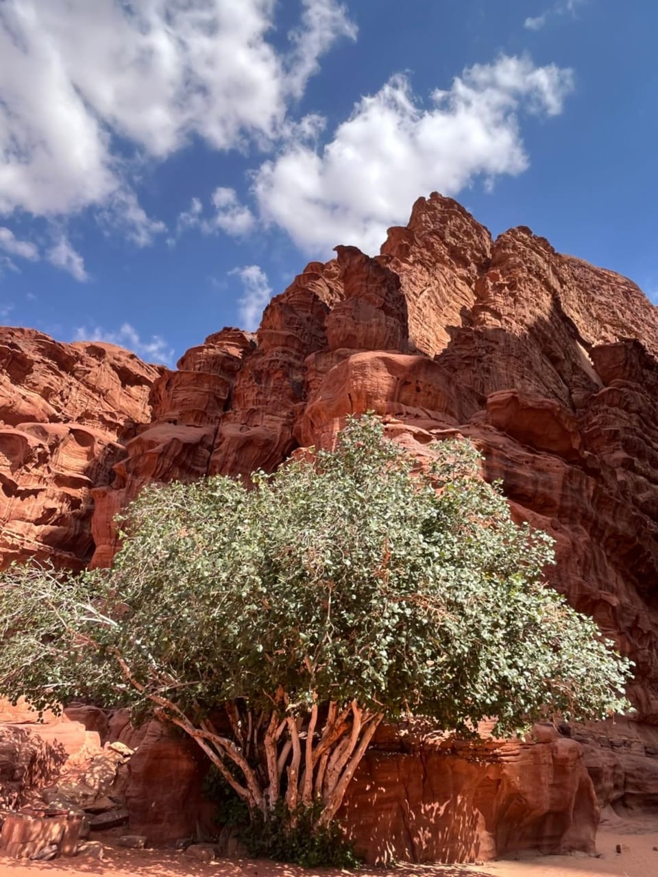 Wadi Rum Heaven Camp Hotel in South District
