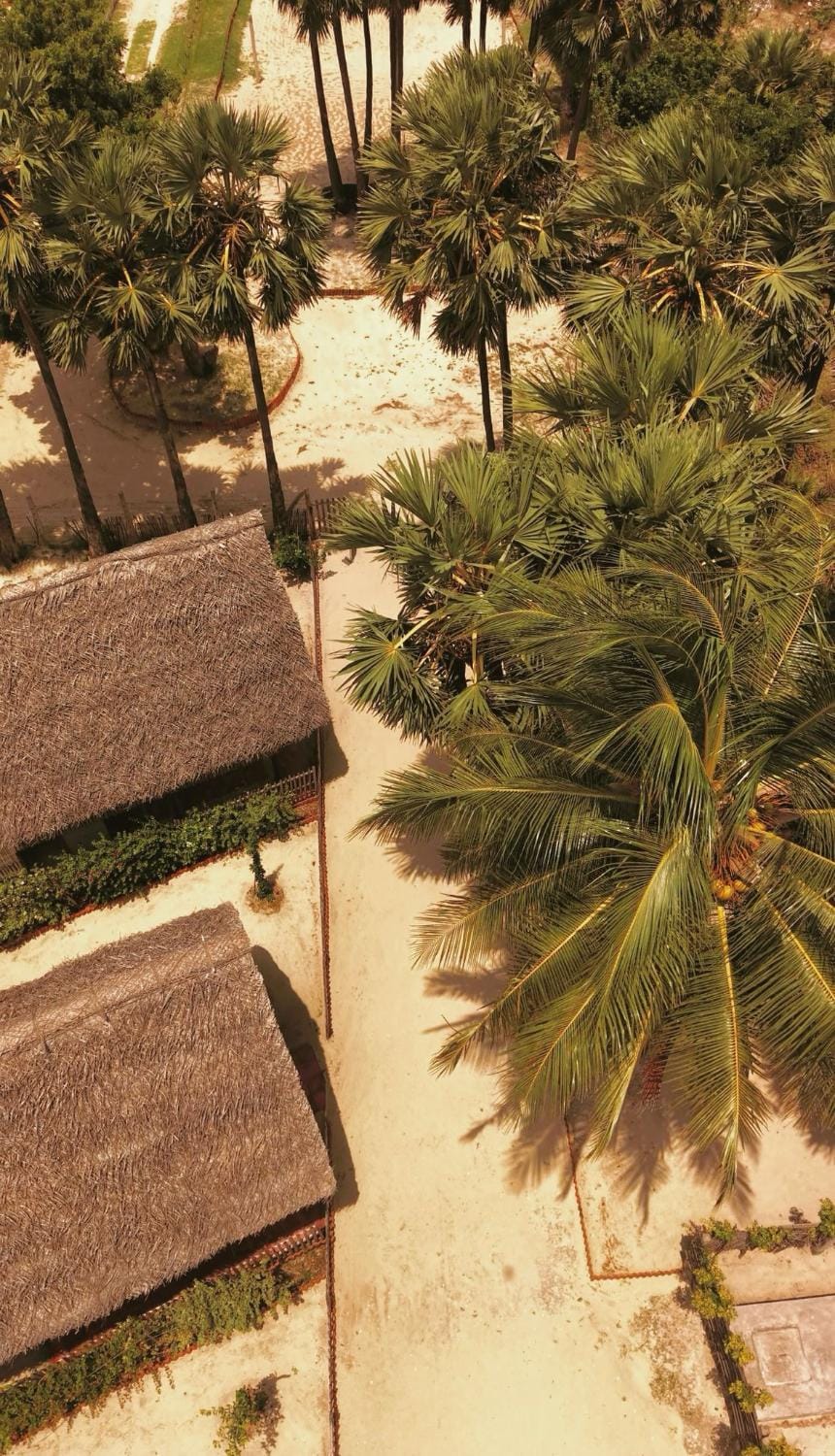 Borassus Nature Huts by ABC Leisure's group Resort in Sri Lanka