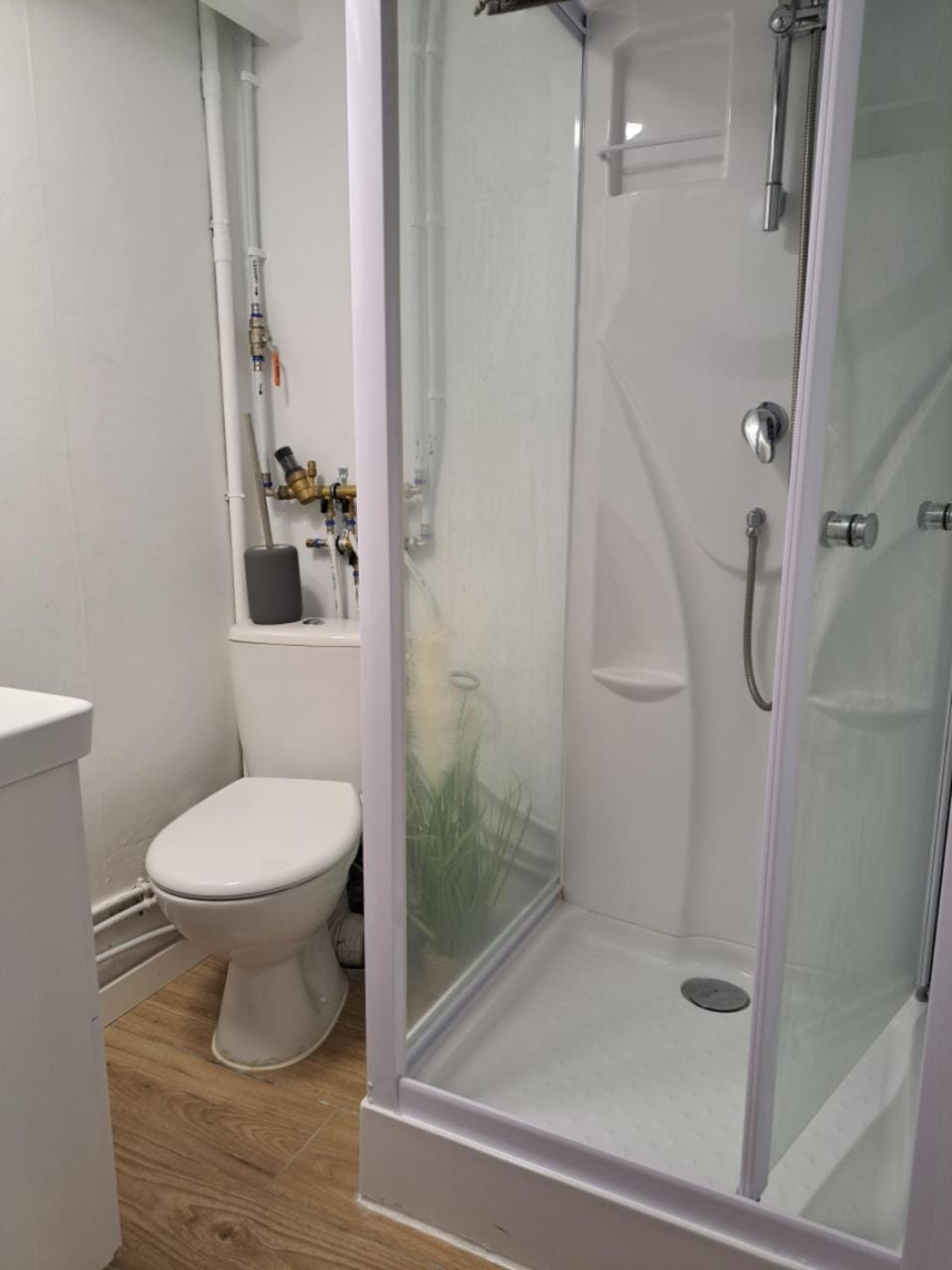 Shower, Toilet