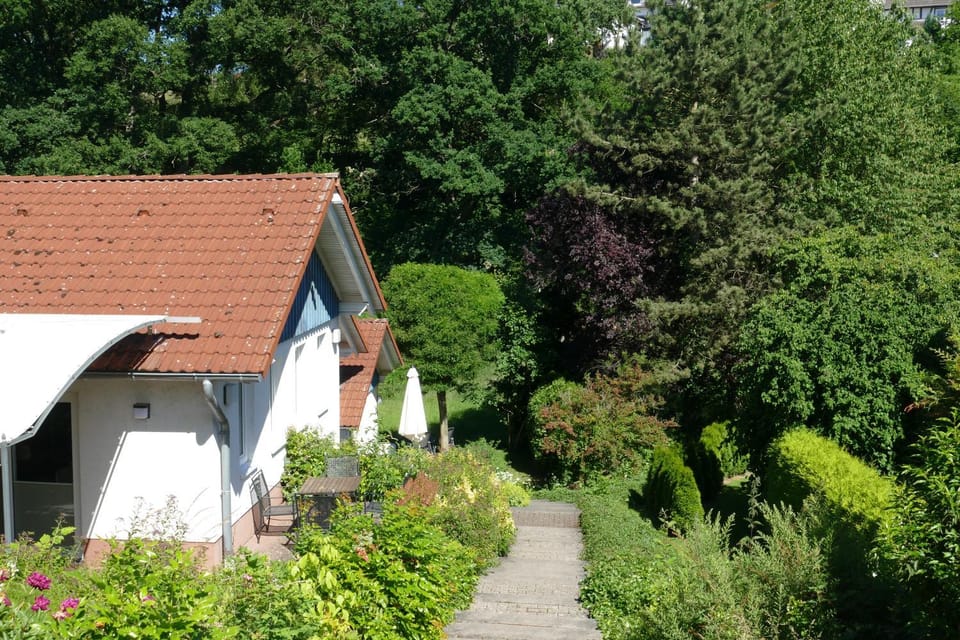 Property building, Garden, Garden view