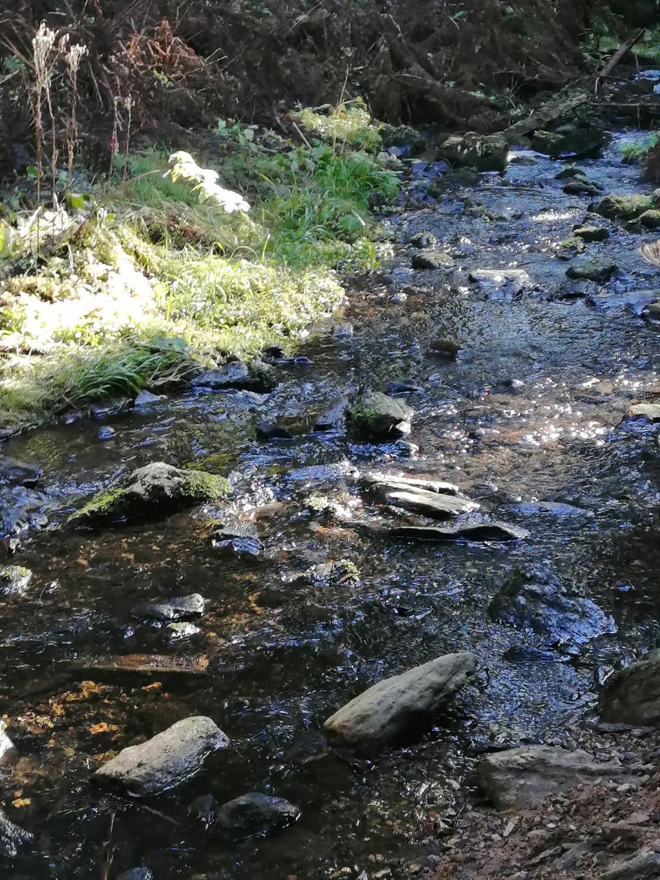 Hiking