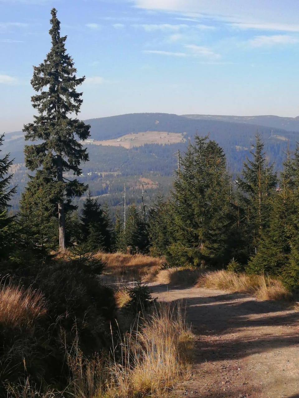 Hiking