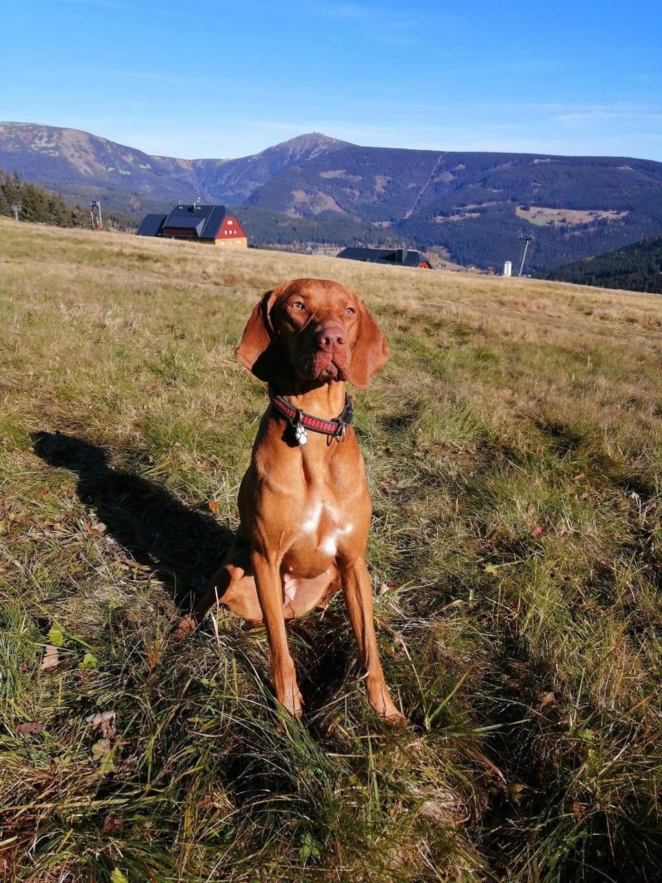 Hiking