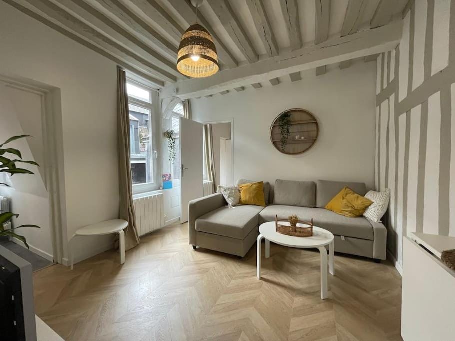 Le logis du Gros Horloge - Cosy et Douillet Apartment in Rouen