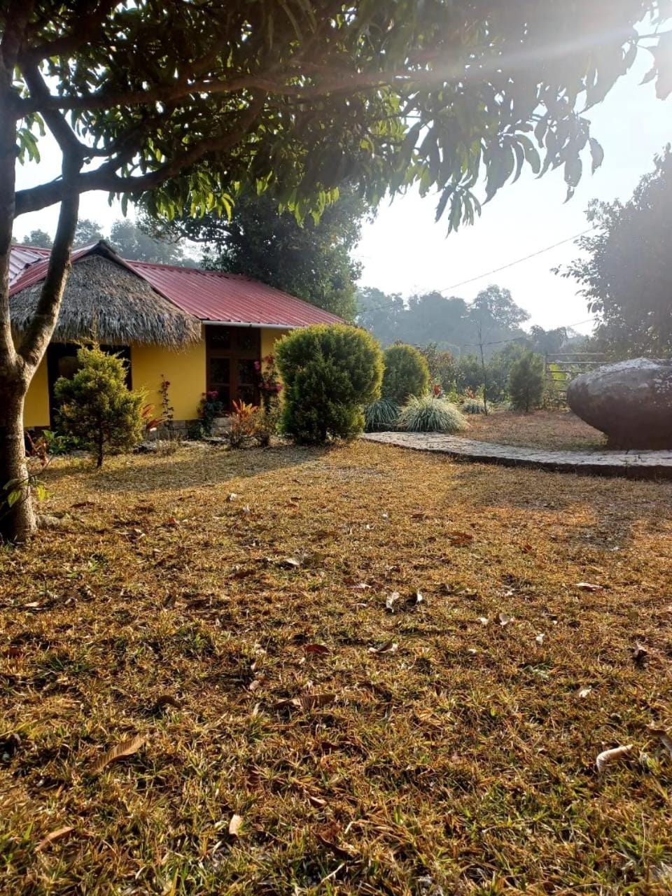 Day, Natural landscape, Garden, Garden view