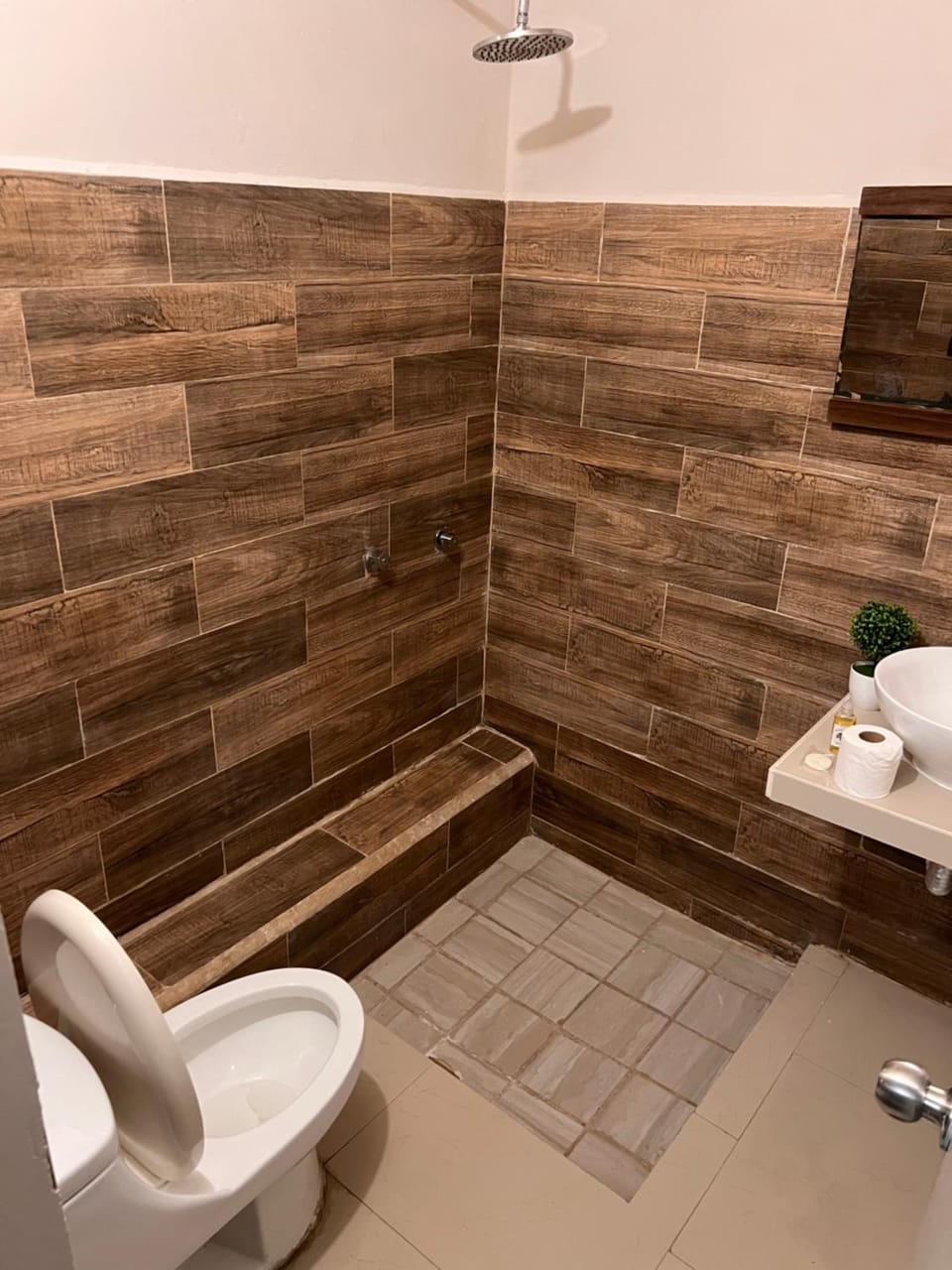 The Black Tree Hotel Boutique Hotel in Mazatlan