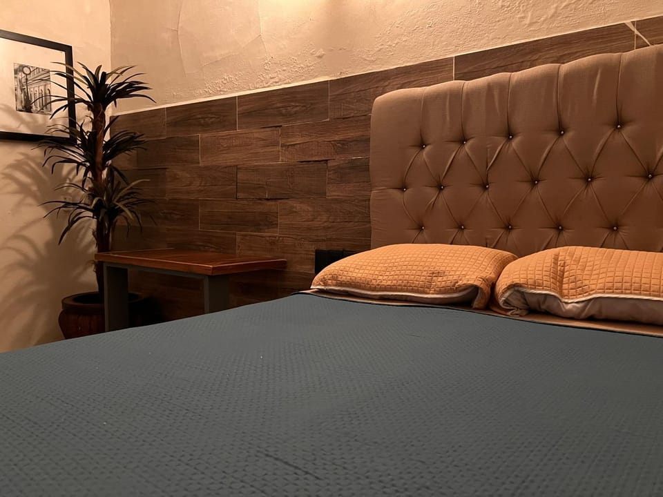 The Black Tree Hotel Boutique Hotel in Mazatlan